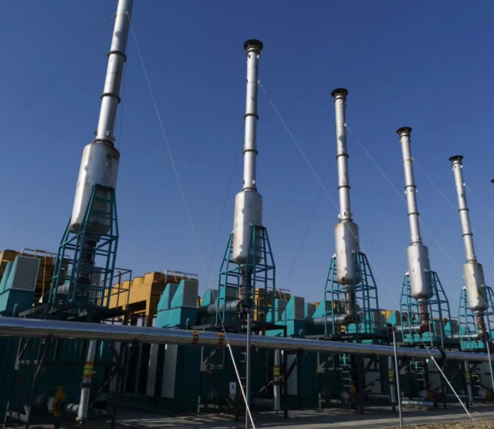 沼气发电冷干机案例